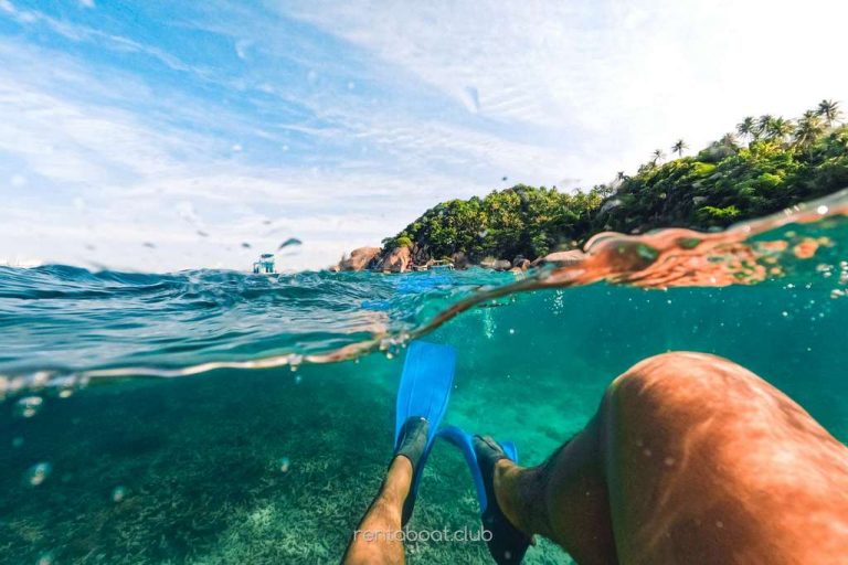 tropical-island-palm-and-underwater-snorkeling-in-Vi-Charter-Mallorca-book-today tropical-island-palm-and-underwater-snorkeling-in-Vi-Charter-Mallorca-book-today
